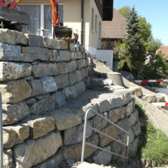 Umgebung Gummenholzstrasse Oberwangen